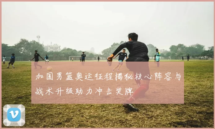 加国男篮奥运征程揭秘核心阵容与战术升级助力冲击奖牌