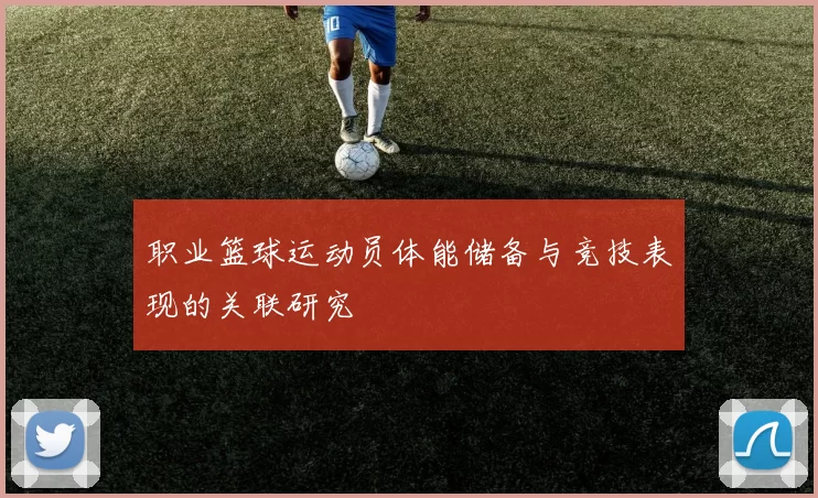 职业篮球运动员体能储备与竞技表现的关联研究