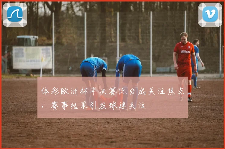 体彩欧洲杯半决赛比分成关注焦点,赛事结果引发球迷关注