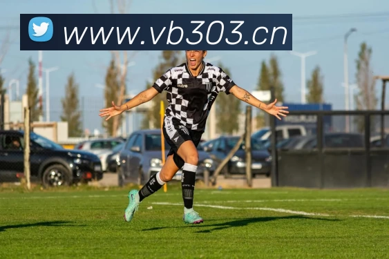 9九游下载安装平台生态图